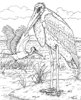 A coloring page of nature in africa